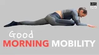 MOBILITY FOR CALISTHENICS | follow along