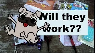 I bought dog supplies for my Rabbit .