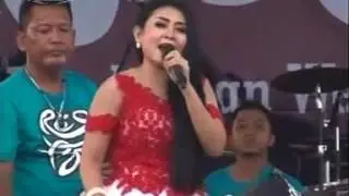 New Pallapa Perih Ani Arlita