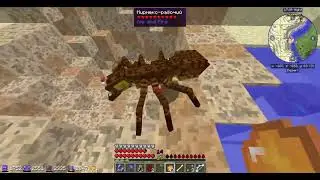 Lp