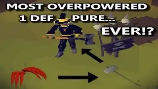 The Most OP 1 Defence Pure Build/Gear I Have Ever Used