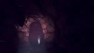 Blood vessel (Vertigo 2)