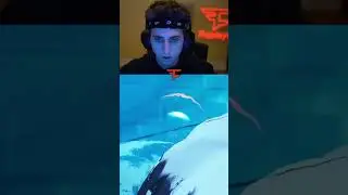 Greatest Fortnite Trick Shot?