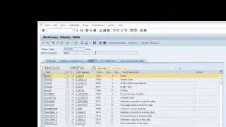 SAP ABAP tutorial - Navigation & Database Concepts - Day 2 Continued