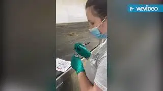 Milk Sample Collection