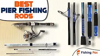 Best Pier Fishing Rods (High-End & Budget Models Reviewed)