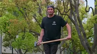 I'll Show Me - Jackass 4.5