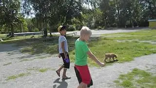 Дисней Ка