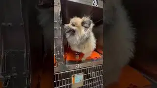Dental Cleaning today for Maria