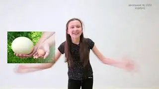А знаете ли вы #1