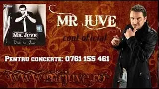 MR JUVE si LIVIU GUTA   Beau si petrec