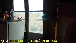 USHBU VIDYOGA BERFARQ BOMELAR VIDYONI TOLIQ TOMOSHA QILMOQCHI BOSELAR MANSURBEK UZ KANALIGA OTILAR