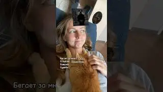 🥲 #tinybunny #зайчик #зайчикигра #ромапятифан звук: elsultano2