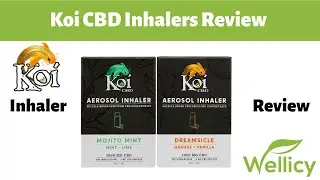 Koi CBD Inhaler Review | 1,000mg Broad Spectrum CBD | Mint Mojito & Orange Dreamsicle