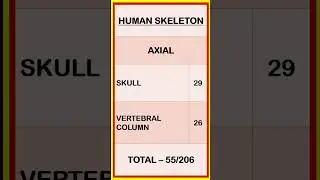 Human Skeleton and Bones | Anatomy | Human Skeletal System | Axial and Appendicular #shorts Zoology