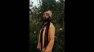 Reggae Riddim Instrumental Protoje / Chronixx type Beat 2022