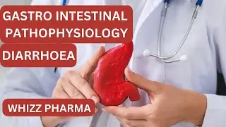 GASTRO INTESTINAL PATHO PHSYIOLOGY -DIARRHOEA                                             PART 2