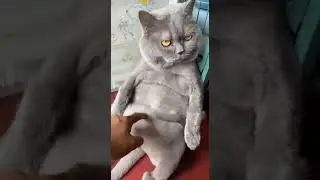 план похудеть провалился 🤣