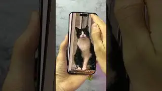 Как БЫСТРО обрезать ФОТО на iPhone #apple #iphone #tricks #tips #technology