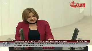 Gülüstan Kılıç Koçyiğit 701 Sayılı OHAL KHK'sı hakkındaki konuşması