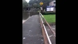 Irene Danbury aftErmath