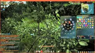 Black Desert Online OBT Korean : Плваем на лодке с парусом