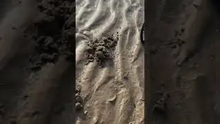 Металлоискатели в Казахстане, Алматы.