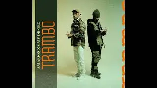AMARION TRAMBO OMY DE ORO (AUDIO OFFICIAL)