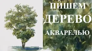 Drawing lessons. How to draw a tree. Painting a tree with watercolors – easy and simple!