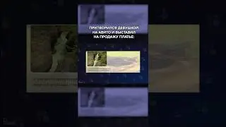 Притворился ДЕВУШКОЙ на Авито