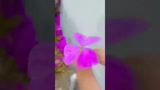 purple 💜 filter 💕