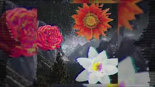 New Bloom - Airwaves