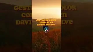 CORRECT COLOR MANAGEMENT in DAVINCI RESOLVE 🎬🎨 