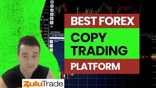 ZuluTrade Review | Is this the Best Forex Copy Trading Platform? (MT4 & MT5)