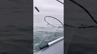 Сахалин, сима на троллинг.