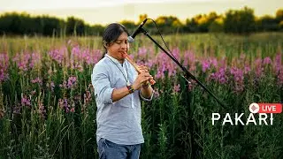 Pakari - Andean flutes in harmony with nature