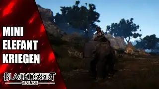 Mini Elefanten erhalten - Black Desert Online