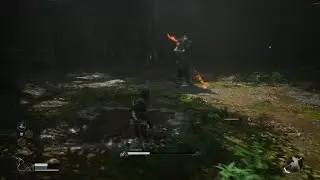 BLACK MYTH WUKONG -GUANGZHI