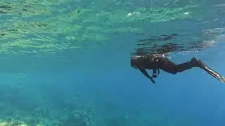С Новым Годом Вас Друзья! (не подводная охота)))