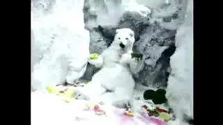 Сейчас будет что-то экзотическое экзо 16+