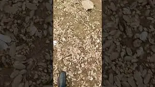 Walkin in sea shells ASMR Sound 