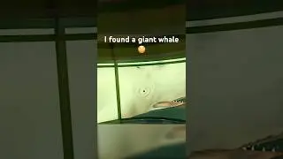 I went whale hunting in vr😭🤣😳 #vr #funny #gaming #meta #quest2 #pcvr #steamvr #suicideguyvr
