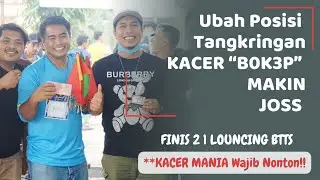 Ubah Posisi Tangkringan Kacer  
