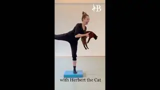 Balancing Act with Herbert The Cat 1