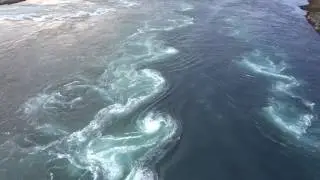 OurTour at the The World's Strongest Maelstrom at Salstraumen, Arctic Norway