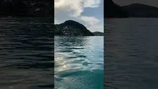 The wonderful Lake Thun! ❤️🇨🇭