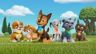 NEW PAW PATROL - INTRO ! (Theme Song)