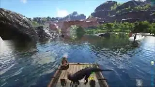 Ark in a nutshell
