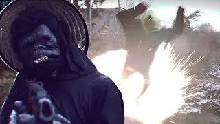 Gorilla Warfare