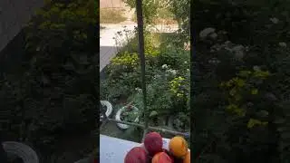 Завтрак в Узбекистане! город Ангрен.  #Узбекистан  #ангрен